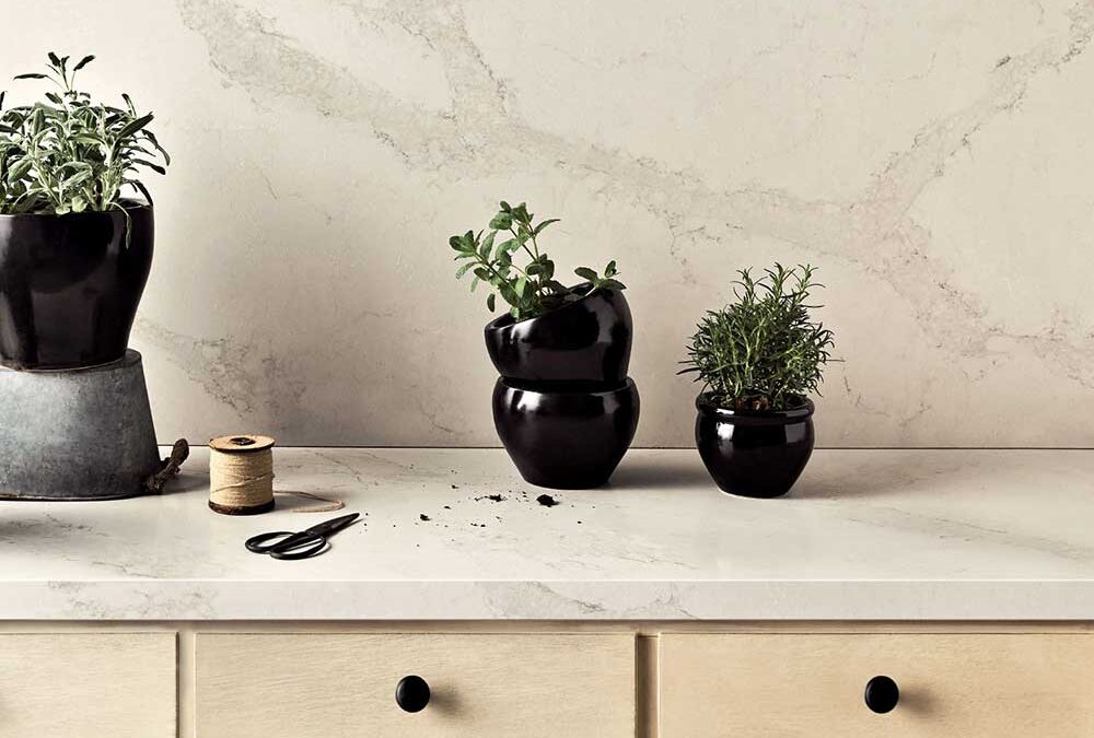 Calacatta Nuvo