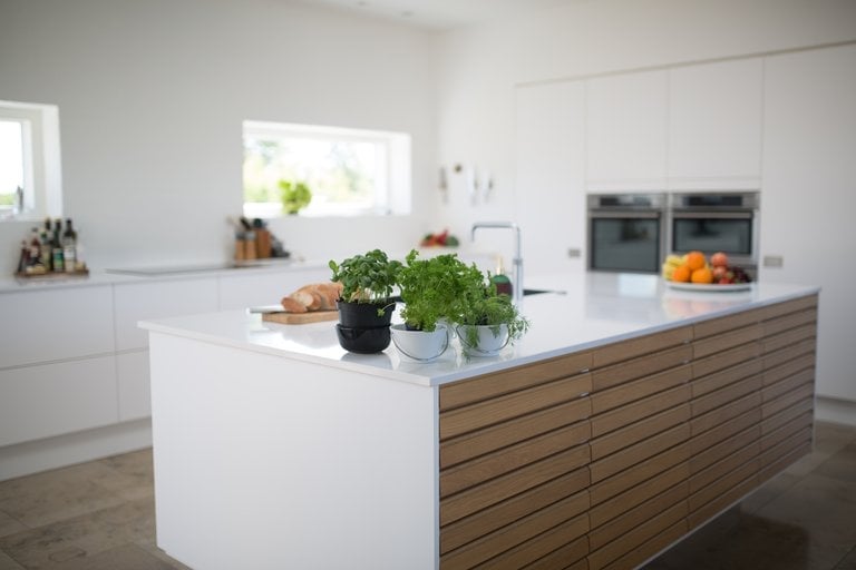 green-leafed-plants-on-kitchen-island-1358900