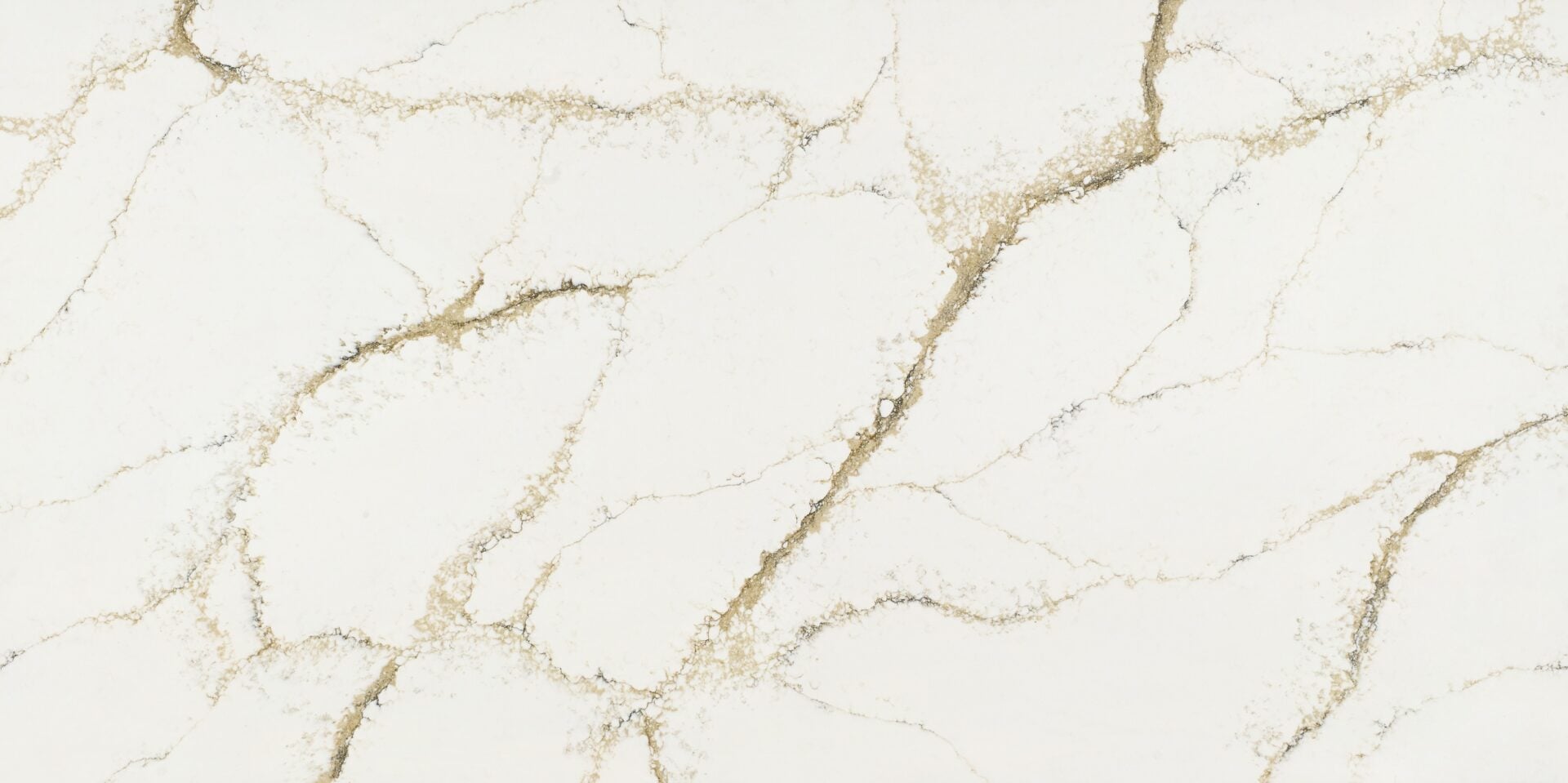 Roma Gold Gloss