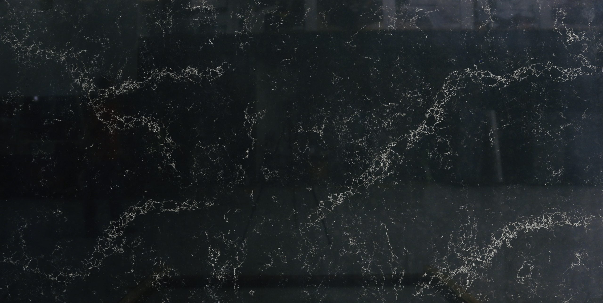 Black Swan