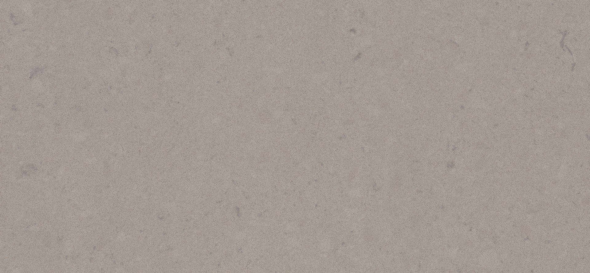 Oyster 4030 Caesarstone