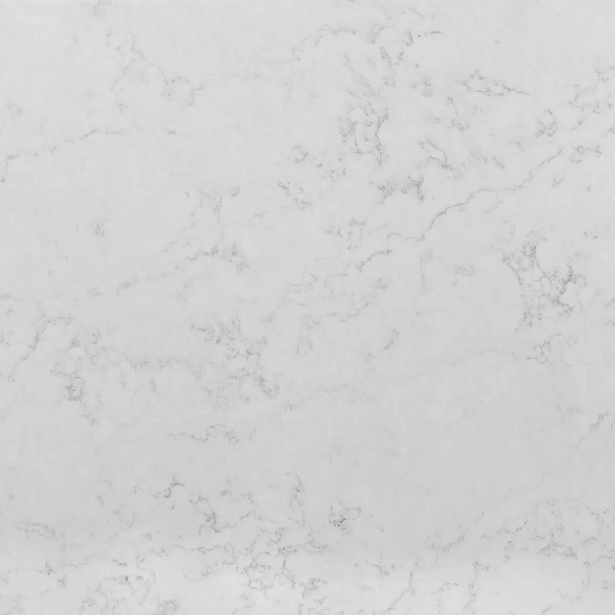 Carrara Gioia