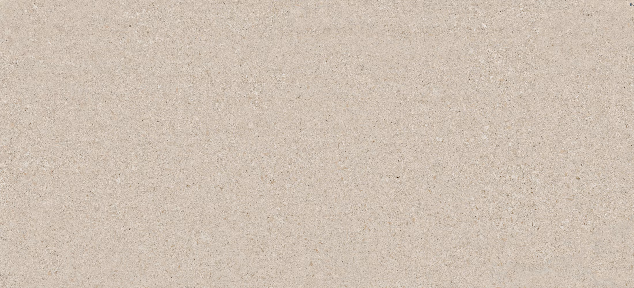 Avorio
