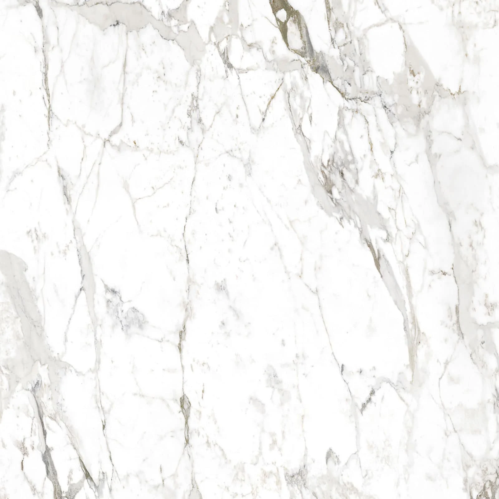 Capraia Breccia